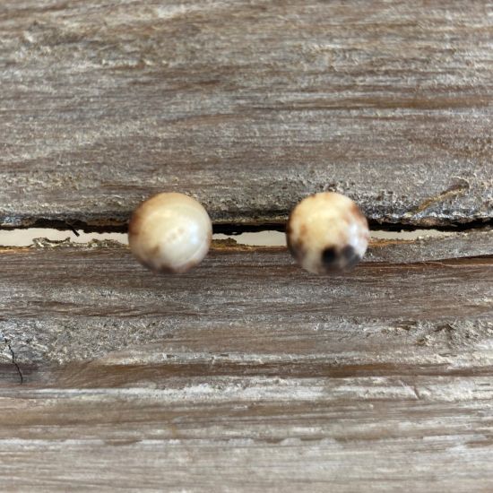 Mooie, subtiele oorknopjes van buffelhoorn. Ø 1 cm. Gevarieerde tintjes. Glans finish. Lichtgewicht.