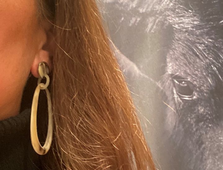 Handgemaakte oorbellen buffelhoorn 8 x 3 cm. Variaties in kleuren. Matte finish. Licht in gewicht.