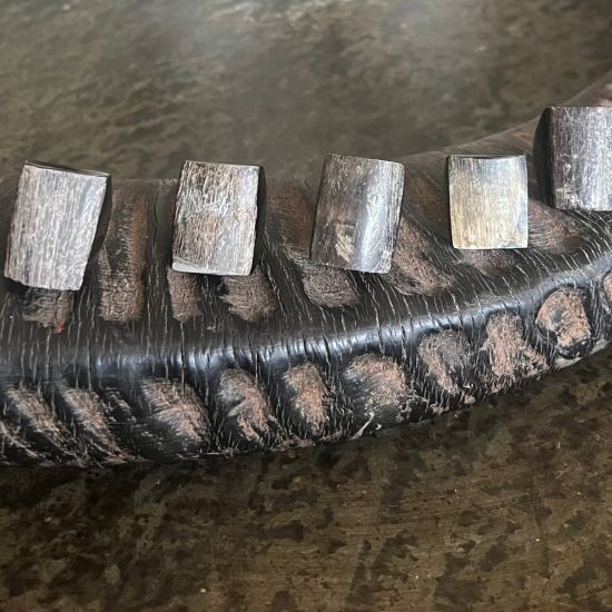 Handgemaakte zwarte glanzende buffelhoorn ring, rough finish. Lichtgewicht.