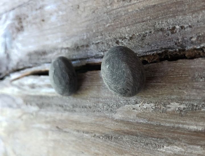 Stoere oorknopjes van geborsteld buffelhoorn, Grijze matte finish. Titanium pin & stopjes.