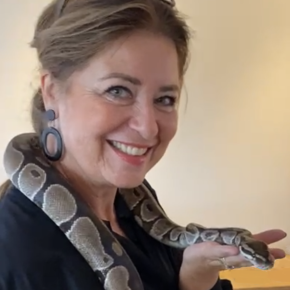 Handgemaakte buffelhoorn oorbellen, ovaal. 4.6 x 3.8 cm. Bruine tintjes, mat.