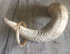 Armband buffelhoorn, blonde tintjes. Breedte 1cm, Glans finish. S t/m L Licht in gewicht.