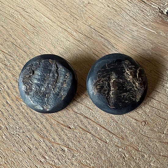 Stoere, ruwe, matte buffelhoorn oorknoppen, 3 cm. Zwart.