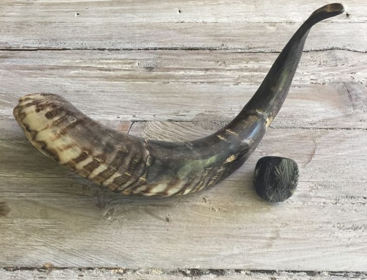 Handgemaakte zwarte, glanzende buffelhoorn ring. Rough finish. Lichtgewicht.